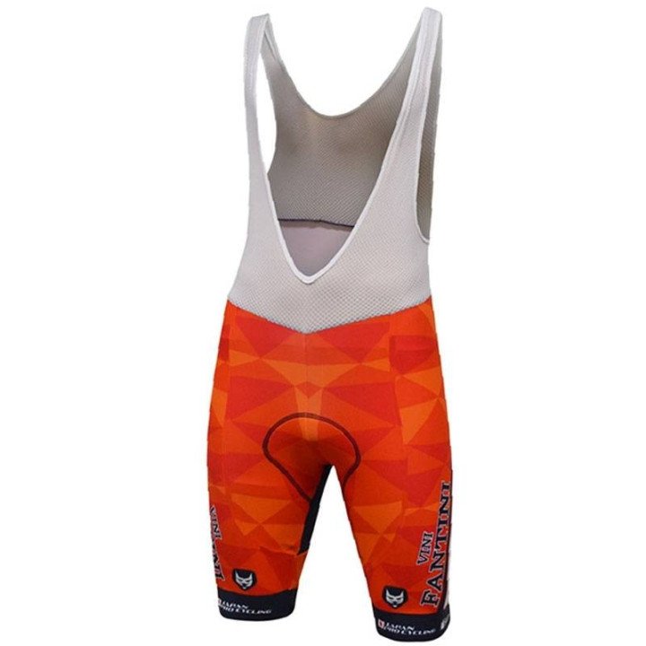 Ropa de Ciclismo Verano NIPPO VINI FANTINI al Mejor Precio