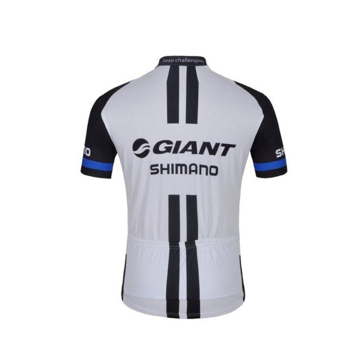 Ropa de ciclismo de verano Giant al mejor precio y con estilo