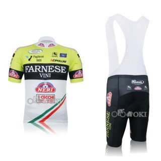 Equipación corta de ciclismo Farnese Vini al mejor precio
